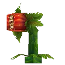 Snapdragon