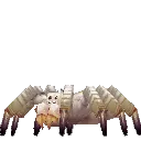 Spider Cave