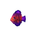 Tang Chevron