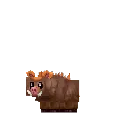 Warthog Piglet