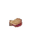 Coral Seashell