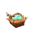 Bird's Nest