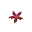 Starfish