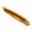 Moray Eel