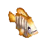 Sailfin Tang