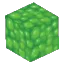 Slime