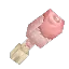 Raw Chicken