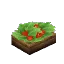 Wild Berry Salad
