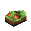Mushroom Salad