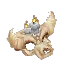 Feran Torch