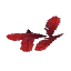 Red Feathers