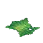 Scaled Hide