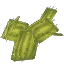 Large Flat Cactus