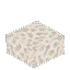 Dying Coral Block - Half Slab