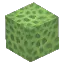 Lime Green Coral Block