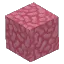 Pink Coral Block