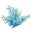 Cyan Coral Bush