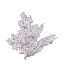 Dying Coral Bush
