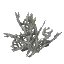 Gray Coral Bush