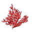 Red Coral Bush