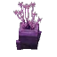 Pink Fan Coral