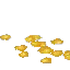 Mature Corn