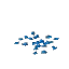 Azure Fern Seeds
