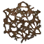 Brown Mushroom Mycelium