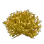 Yellow Arid Flower Bush