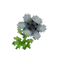 Linen Weed