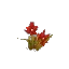 Red Arid Flower