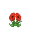 Poppy