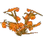 Fire Flower