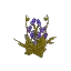 Berry Flax