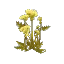 Hemlock