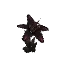 Black Orchid