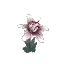 White Orchid