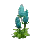 Delphinium