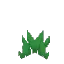 Short Jungle Grass