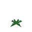 Short Lush Grassplant