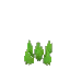 Short Sharp Grass