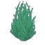 Wild Wet Grass