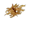 Bundle of Hay