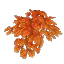 Autumn Leaves