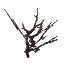 Dead Leaves