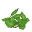 Jungle Floor Leaves