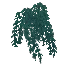 Sadwillow Leaves