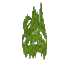 Green Hanging Moss