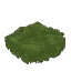 Dark Green Moss Rug
