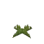 Short Dark Green Moss